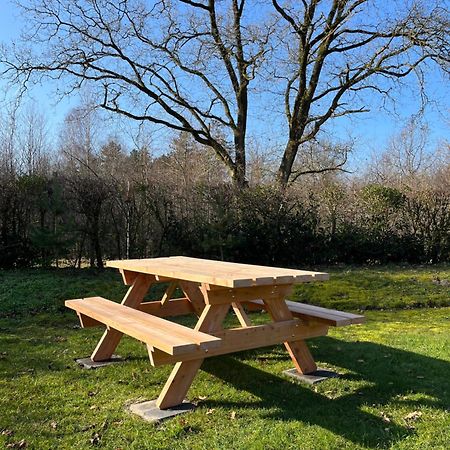 Vakantiehuis Eikzicht Gelegen Aan Het Bos Elsloo  Bagian luar foto