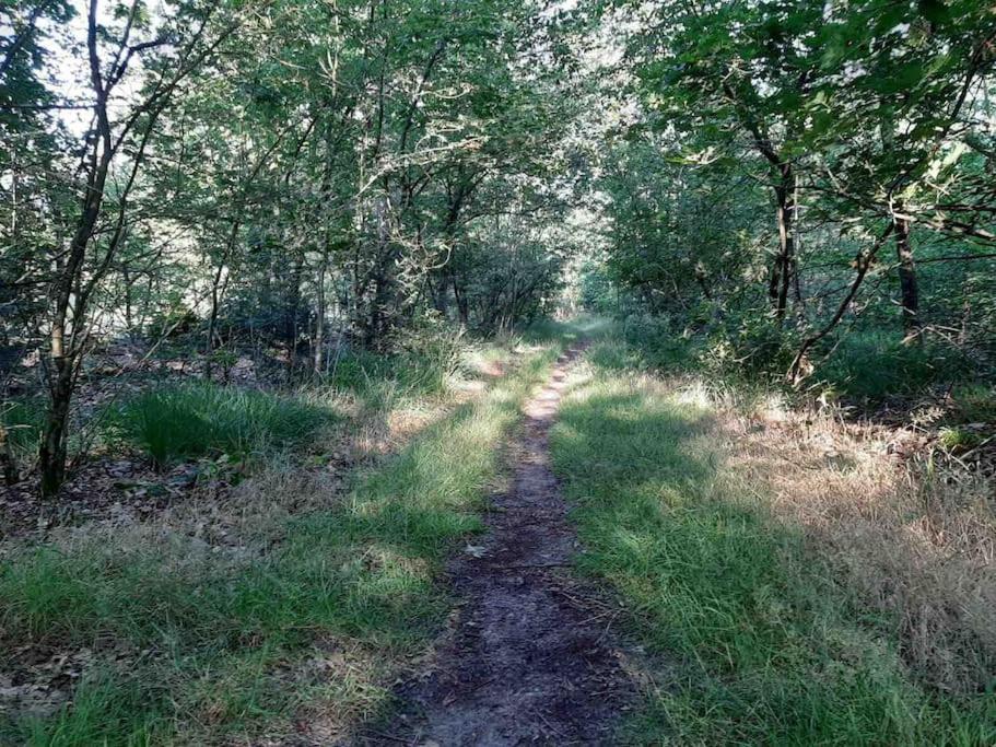 Vakantiehuis Eikzicht Gelegen Aan Het Bos Elsloo  Bagian luar foto