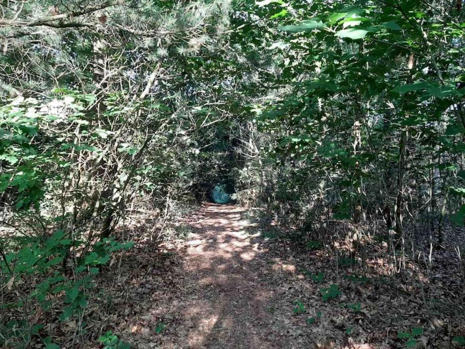 Vakantiehuis Eikzicht Gelegen Aan Het Bos Elsloo  Bagian luar foto