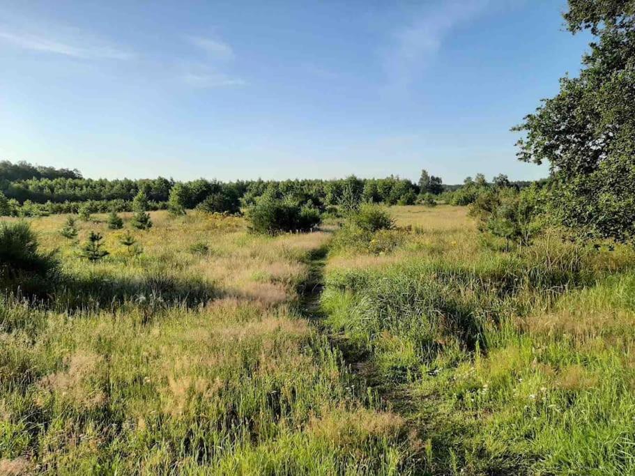 Vakantiehuis Eikzicht Gelegen Aan Het Bos Elsloo  Bagian luar foto