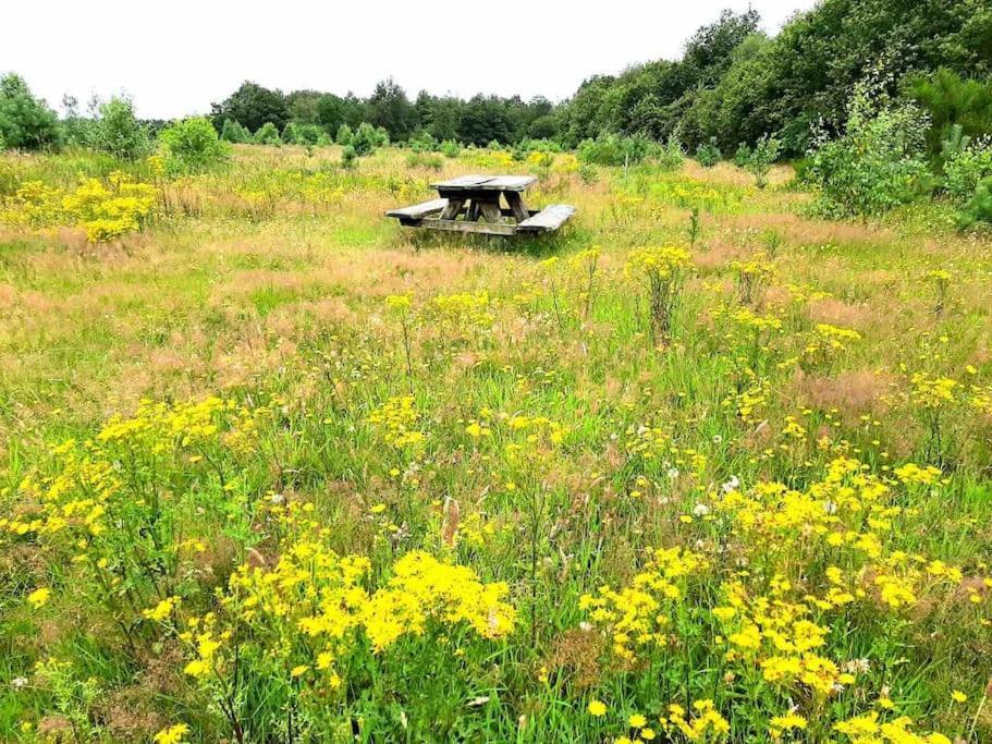 Vakantiehuis Eikzicht Gelegen Aan Het Bos Elsloo  Bagian luar foto
