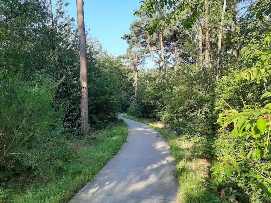 Vakantiehuis Eikzicht Gelegen Aan Het Bos Elsloo  Bagian luar foto