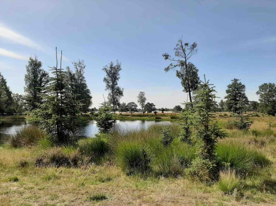 Vakantiehuis Eikzicht Gelegen Aan Het Bos Elsloo  Bagian luar foto