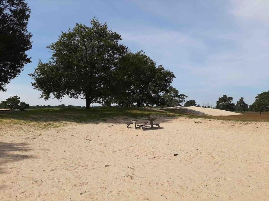 Vakantiehuis Eikzicht Gelegen Aan Het Bos Elsloo  Bagian luar foto