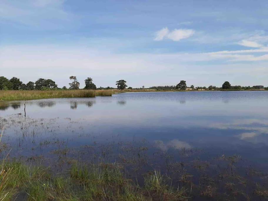 Vakantiehuis Eikzicht Gelegen Aan Het Bos Elsloo  Bagian luar foto