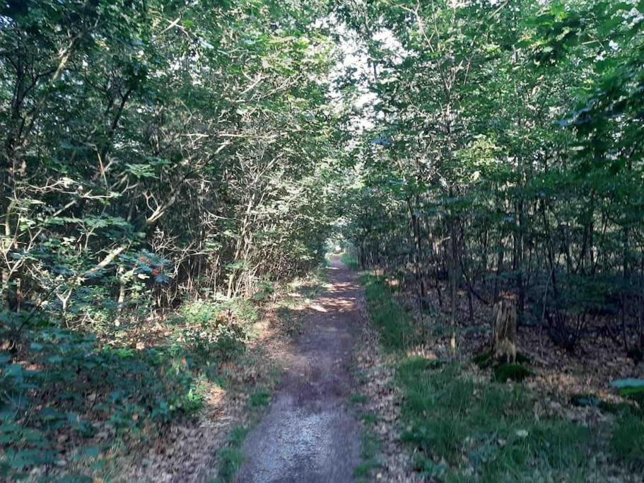 Vakantiehuis Eikzicht Gelegen Aan Het Bos Elsloo  Bagian luar foto