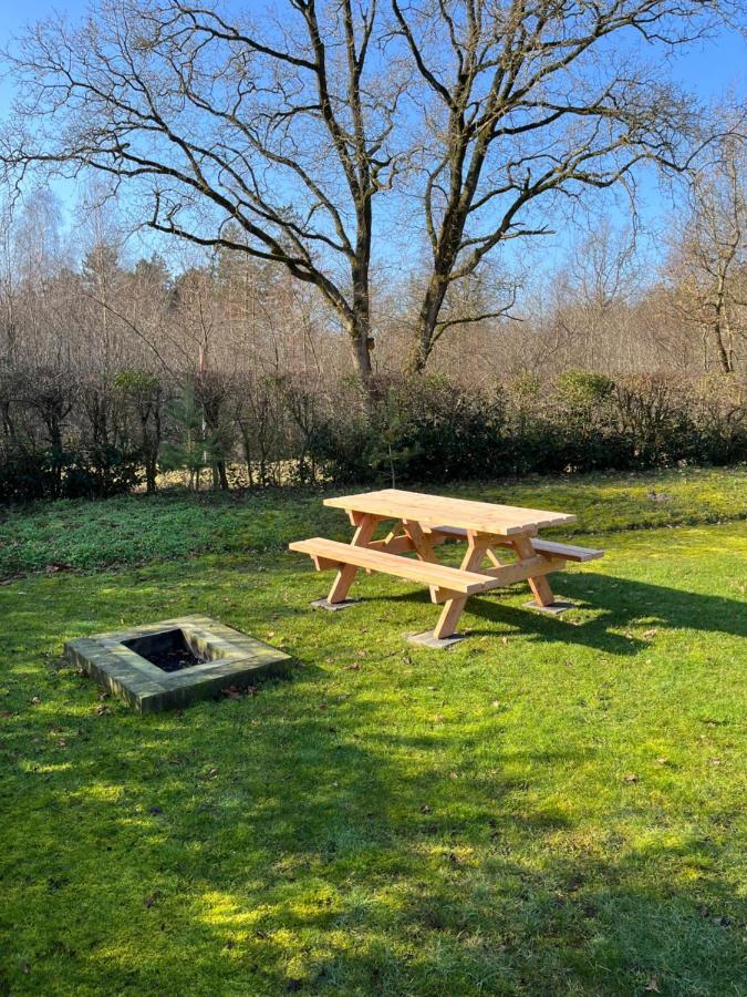 Vakantiehuis Eikzicht Gelegen Aan Het Bos Elsloo  Bagian luar foto
